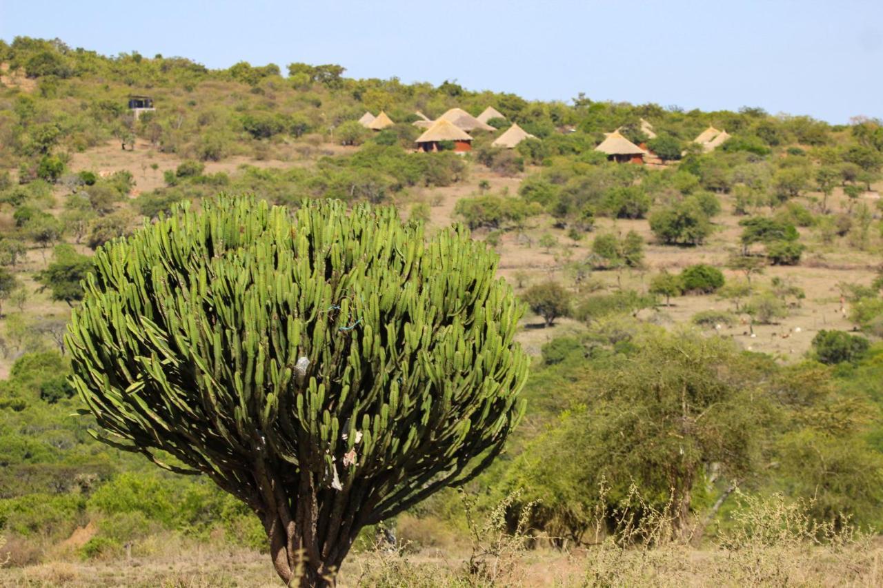 Africa Safari Maasai Boma Camping Серенгети Экстерьер фото